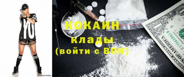 ГАЛЛЮЦИНОГЕННЫЕ ГРИБЫ Вяземский