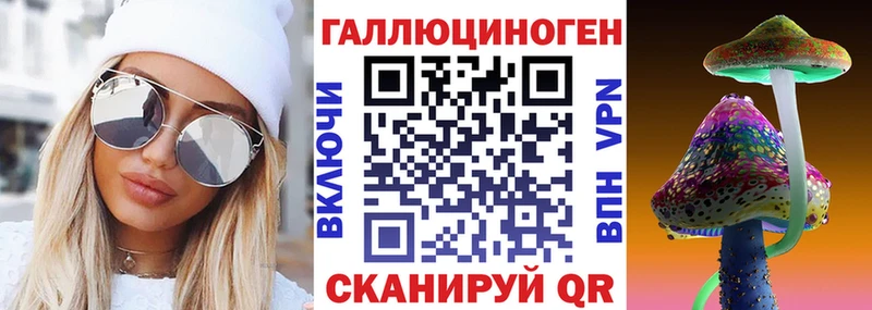 Псилоцибиновые грибы Psilocybe  Дубна 